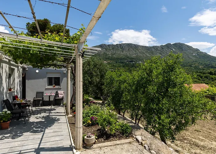 Apartments Roza