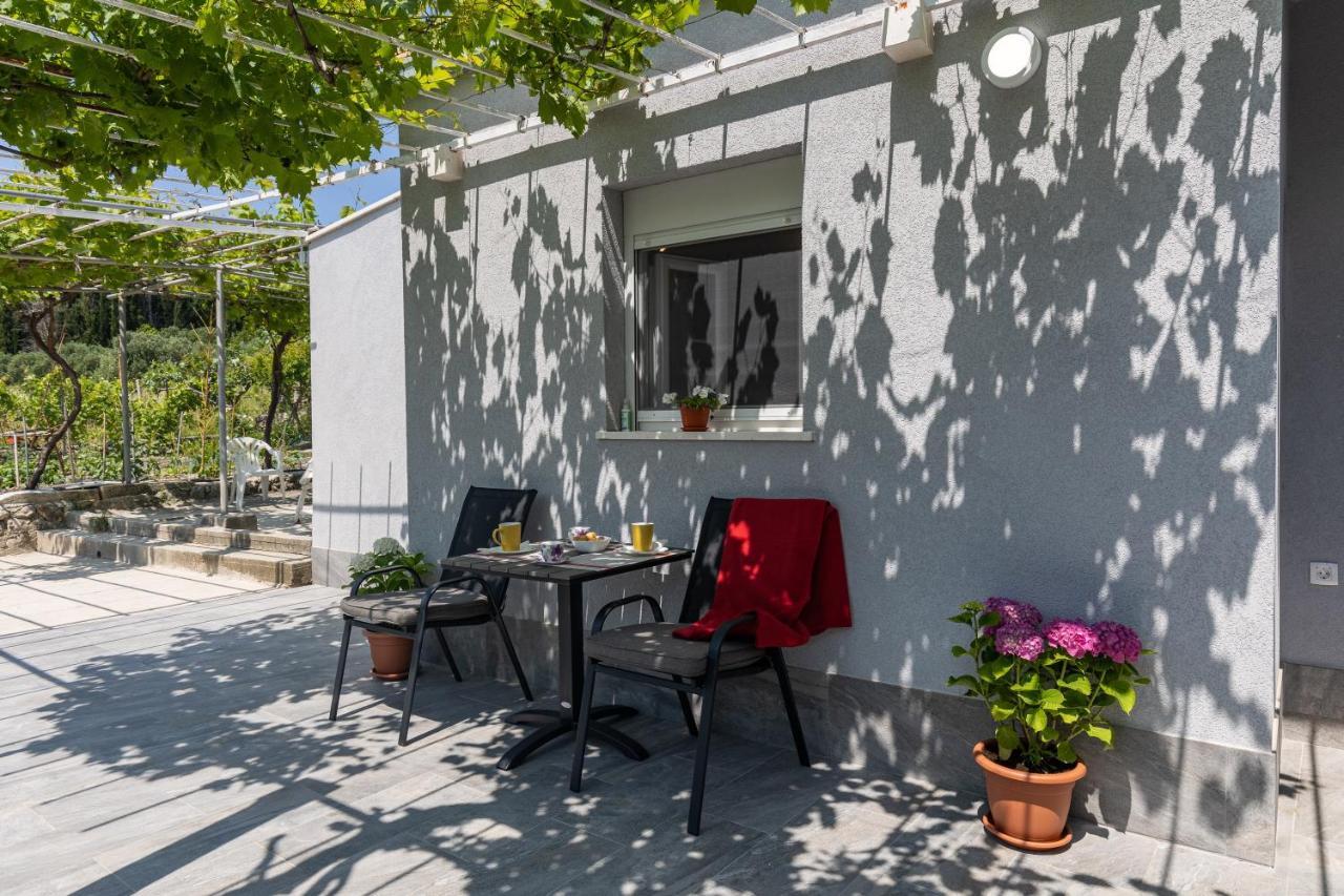 Apartmán Roza