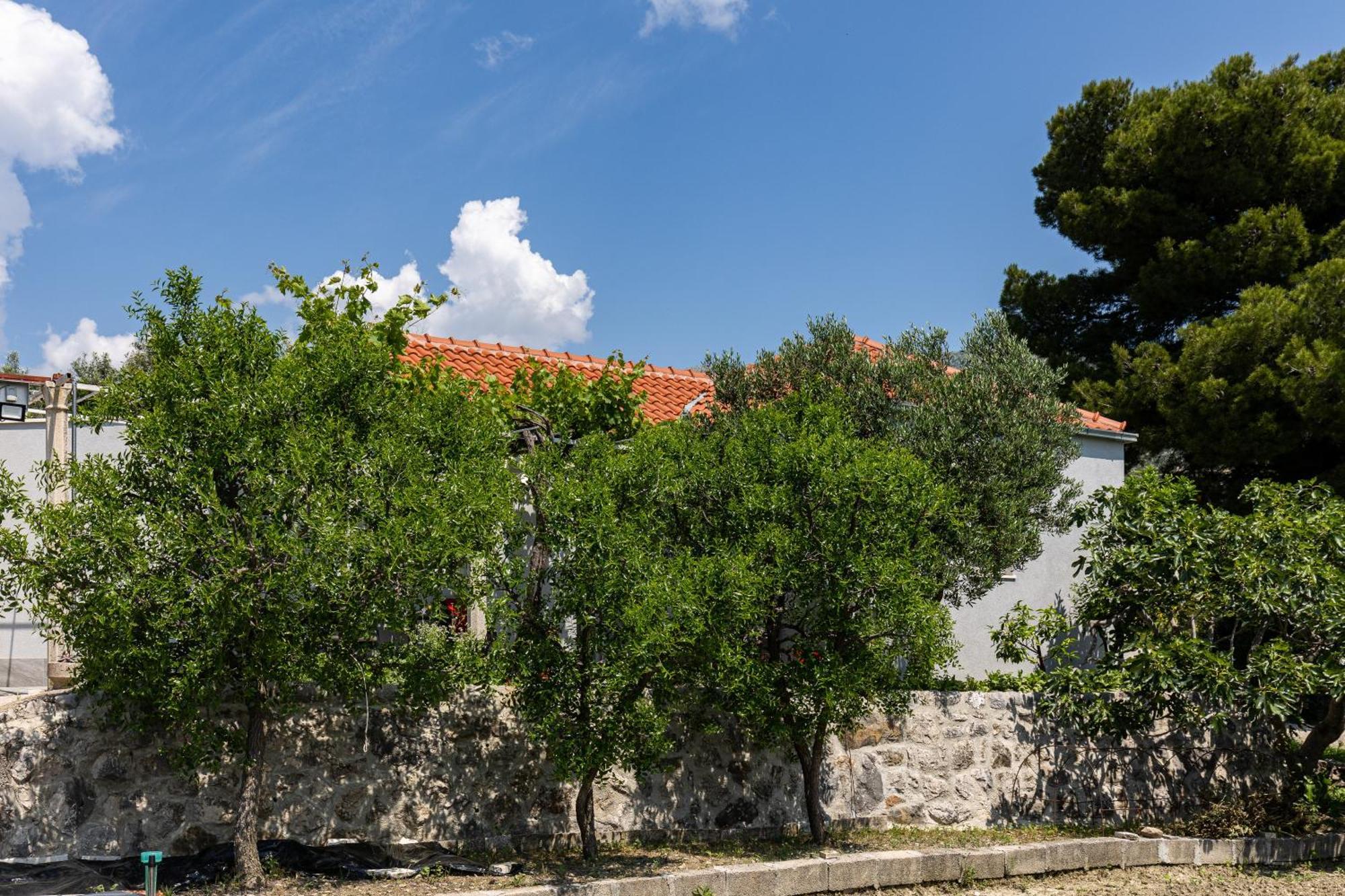 Apartmán Roza Mlini
